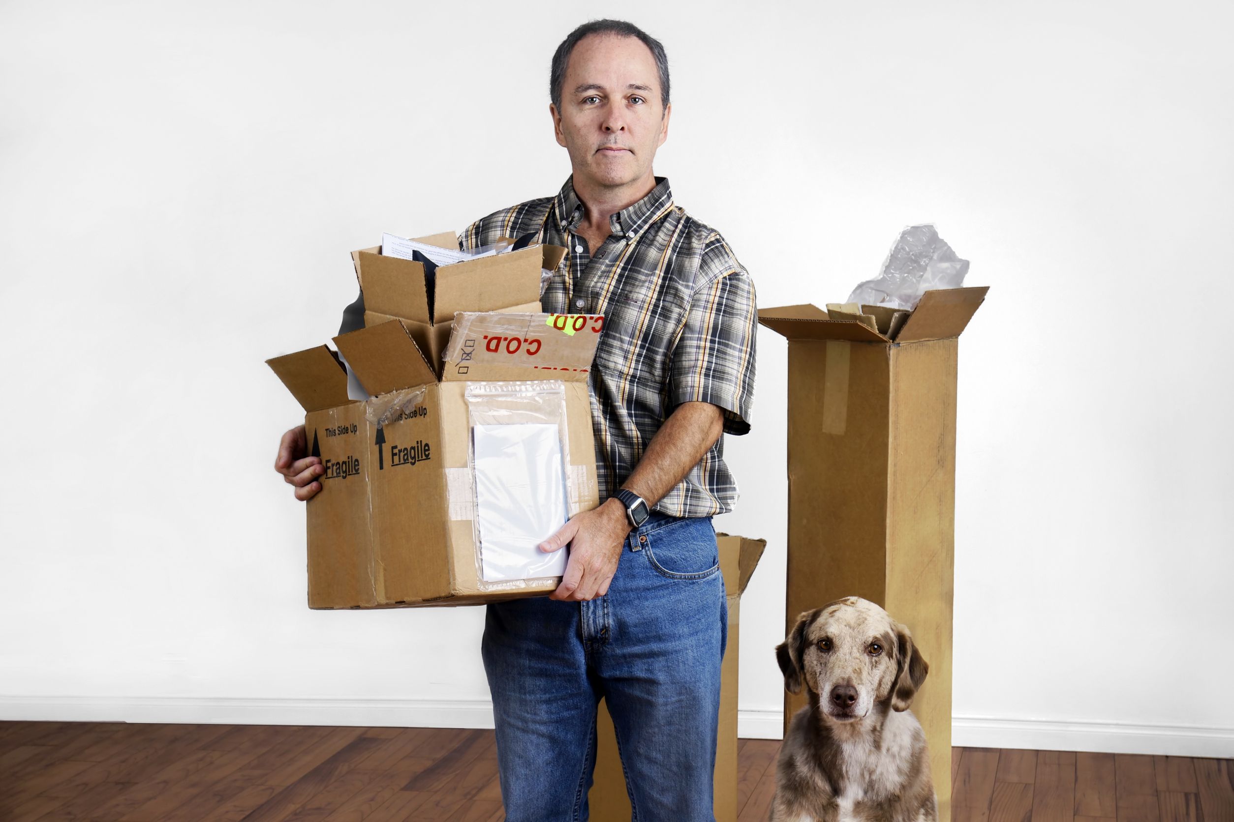 Professional pet movers