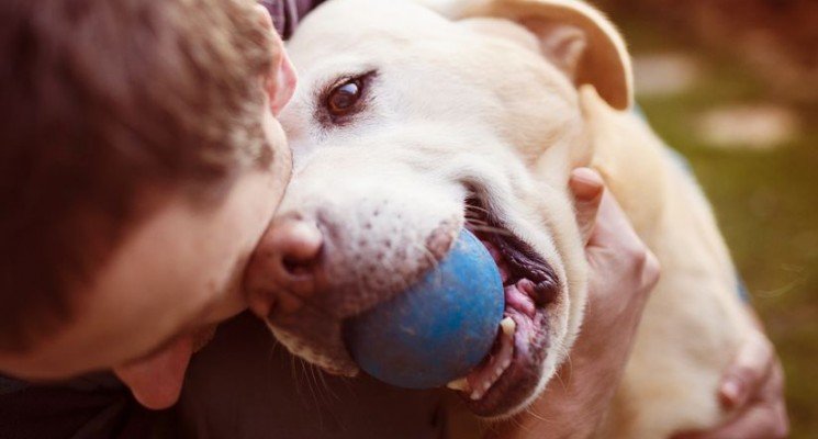 Ways to show your dog you love him