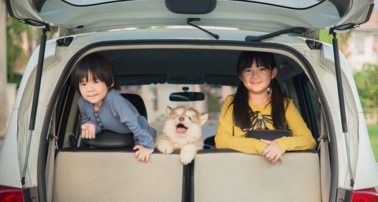 happy children and siberian husky puppy sitting in the car