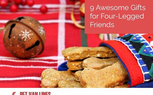 awesome gifts for pets