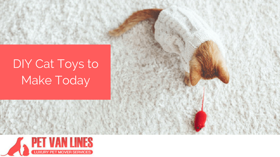 DIY cat toys