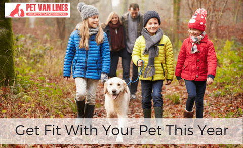 get fit with your pet