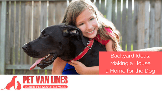 backyard ideas; making a house a home for the dog