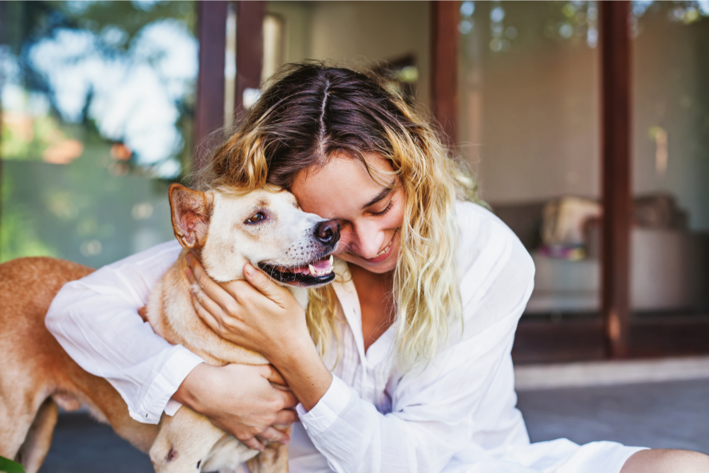 pet insurance