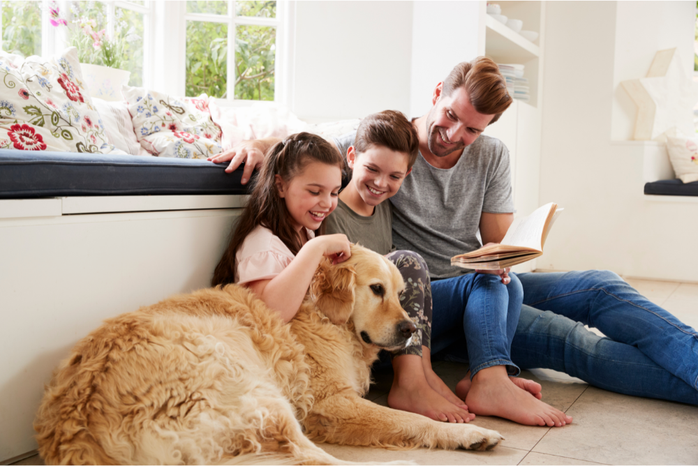 pet owners